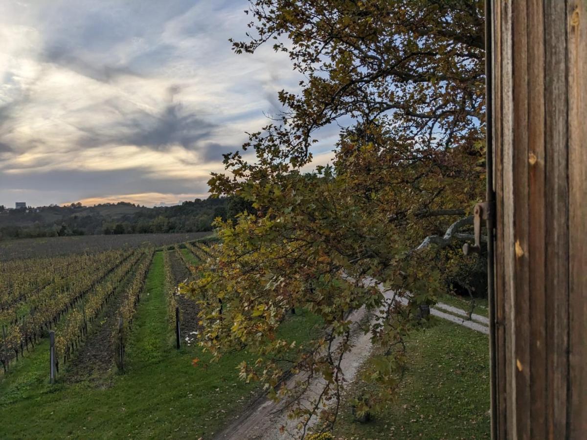 Castel San Mauro Hotel Gorizia Exterior photo